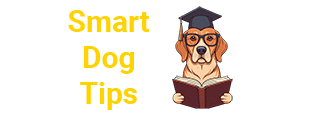 Smart Dog Tips