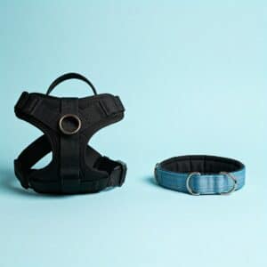 Dog Harness vs Dog Collar: Which Is Better for Your Pup?